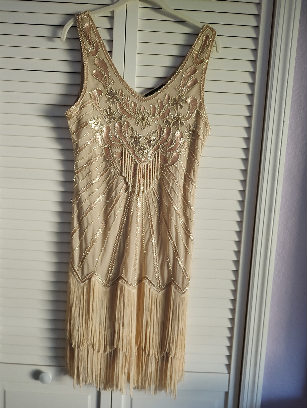 Beaded Fringe Sheath Dress in Champagne